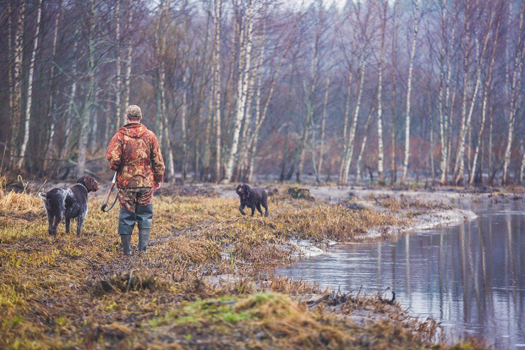 Chasse : stop ou encore ? - Chasse Passion 