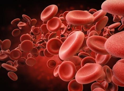 Un simple test sanguin prédit vos chances de survivre à la Covid-19 