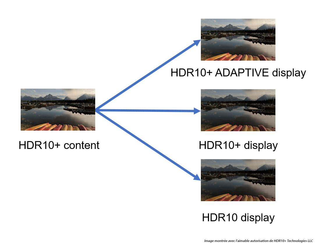 HDR10, HDR10+, HLG et Dolby Vision : quelles différences entre les standards HDR ? 