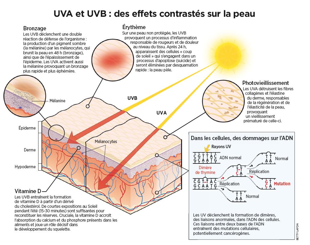 Les effets des UV sur votre peau - Planete sante
