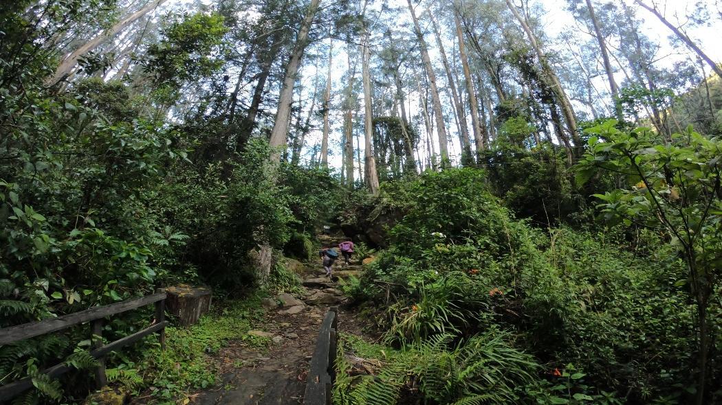 Este sábado 16 de octubre, el sendero de la quebrada La Vieja reabre al público