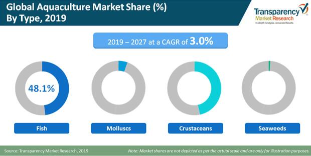 Onshore Aquaculture Bio Filter Market to Expand with Significant CAGR during 2031 Post navigation