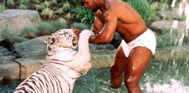 Tyson, una vida llena de compras compulsivas: desde bañeras de oro hasta tigres de bengala 