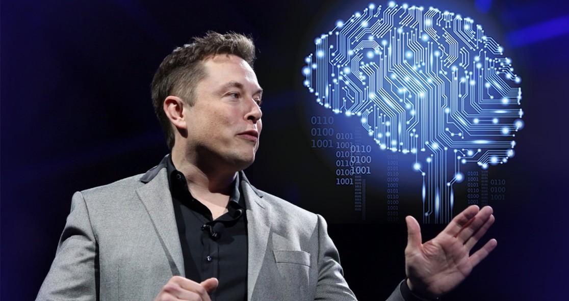 Fleas in our brain?Elon Musk wants to set them up from 2022