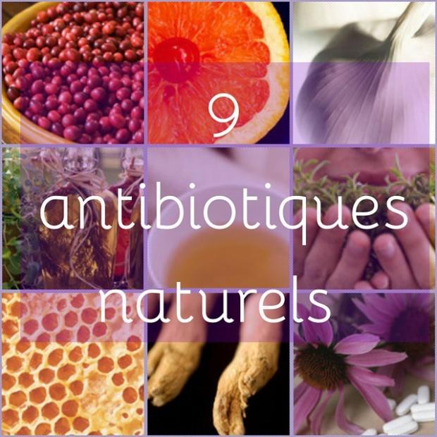 “Antibiotiques” naturels : Peut-on lutter contre les infections grâce aux plantes ?