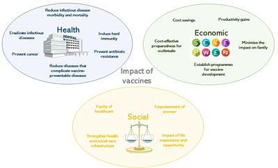 Study: 4 Major Factors Affect Adult Routine Vaccination Rates 