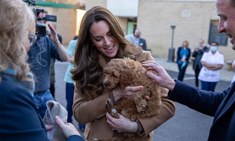 Kate Middleton and the puppy that stole her heart