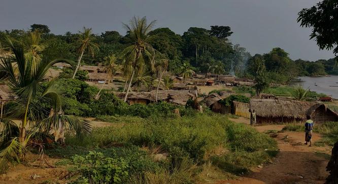 The colonial network of palm oil plantations Democratic Republic of the Congo Democratic Republic of Congo, the colonial network of palm oil plantations