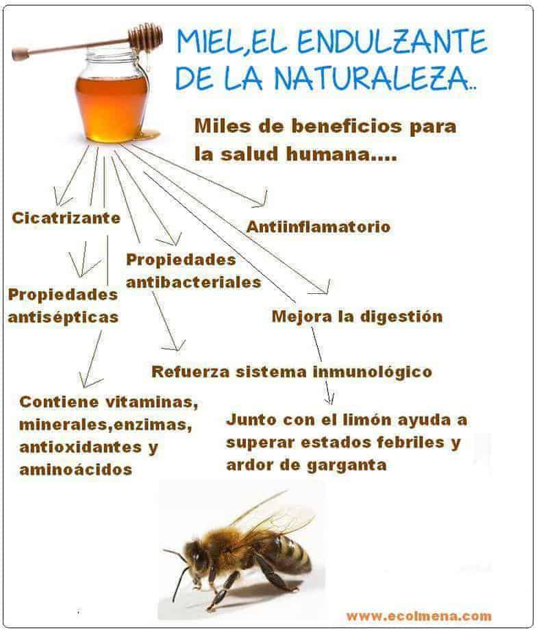 Cinco propiedades cosméticas de la miel de abeja