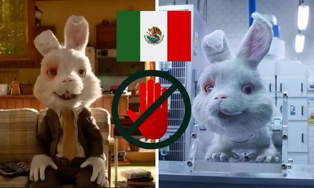 México prohíbe las pruebas de cosméticos en animales y establece lineamientos 