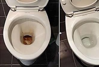 Comment blanchir le fond des toilettes ?