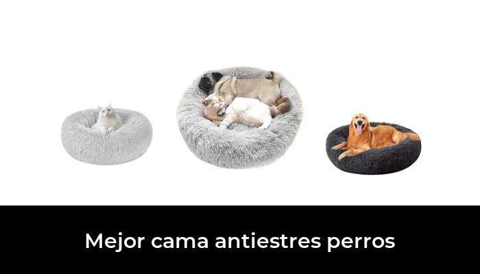 47 Best anti-stress dog bed in 2022: after Researching 90 Options.