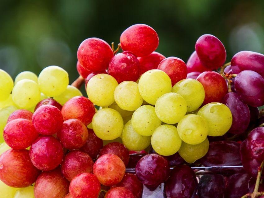 Agüeros de Año Nuevo: desde comer 12 uvas hasta usar ropa amarilla, las tradiciones y rituales 