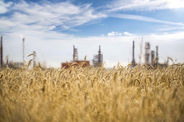 Governments are investing billions into carbon capture in the Prairies. Here’s what you need to know 