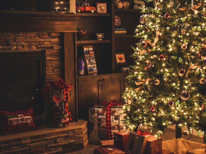 5 ideas para decorar tu árbol de Navidad con luces LED (FOTOS) 