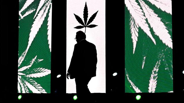 El Gobierno apuesta al cannabis: qué dice el proyecto de ley que incluyó en las sesiones extraordinarias