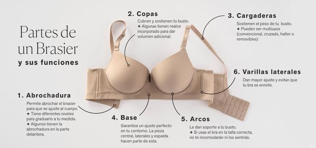 ¿Cómo saber si estás usando la talla de "bra" correcta para tu cuerpo?