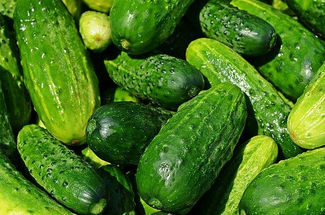 Murcia.com / Health Cucumber, a great ally of health and beauty