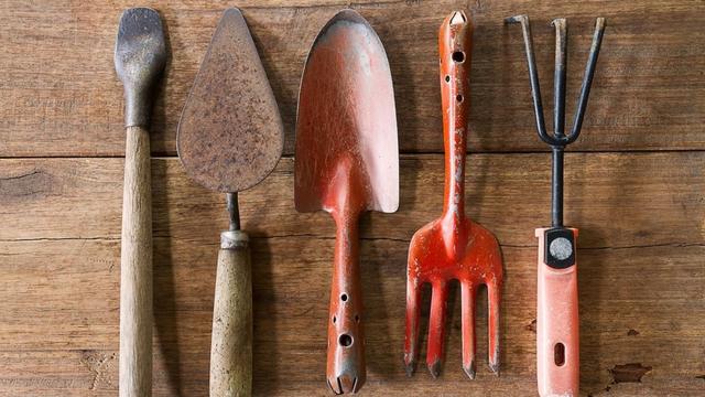 How to clean oxidized garden tools with vinegar