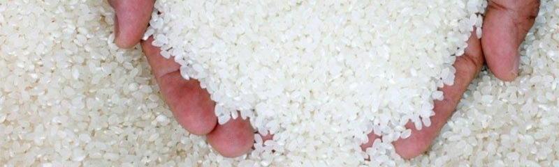 Au Ghana, la marque de riz local Nana's Rice veut remplacer les importations