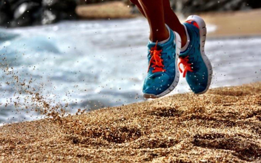 Consejos para entrenar en la arena – Nexofin