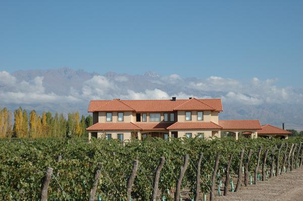 The first jazz festival arrives in the best vineyards of Mendoza