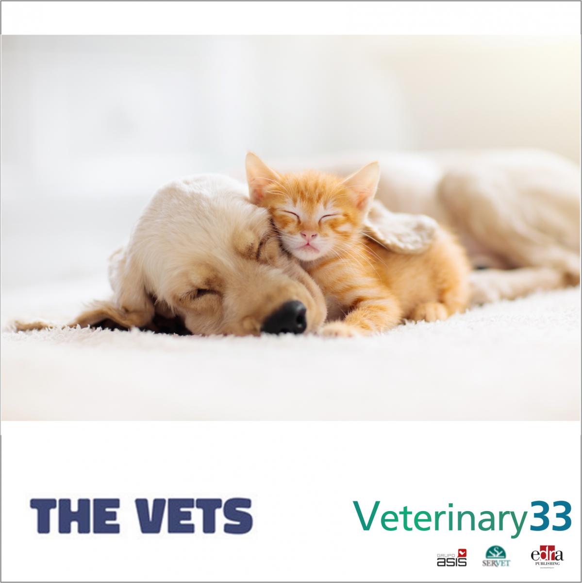 THE VETS SECURES  MILLION IN SEED FUNDING TO EMPOWER VETERINARIANS AND BRING HIGH-QUALITY PET CARE TO THE HOME 