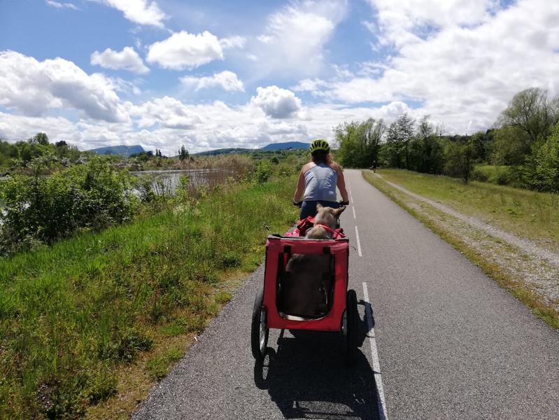 La Viarhôna à vélo entre Seyssel et Lyon avec un chien 