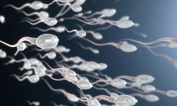 Un peu d’or dans vos bijoux de famille: les nanotechnologies au service de la contraception masculine