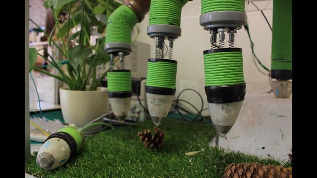 Des robots pour produire des plantes de façon optimale 