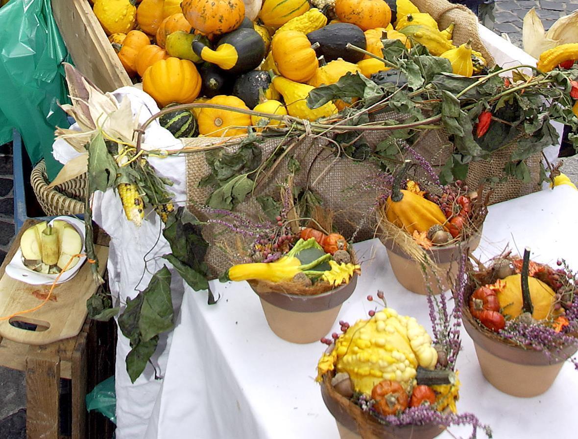 Frankenthal-Frankenthal farmers market on September 4th and 5th, 2021-with city cycling start and open Sunday