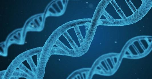 1 Nový čip na bázi DNA lze naprogramovat tak, aby řešil složité matematické problémy 1 1 1