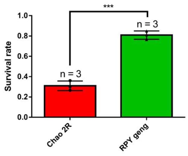 Comparative de novo transcriptome analysis identifies salinity stress responsive genes and metabolic pathways in sugarcane and its wild relative Erianthus arundinaceus [Retzius] Jeswiet 