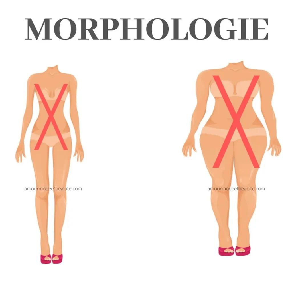 Morphologie : définition et comment trouver la mienne ?