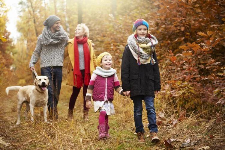 What to do with children in November Outdoor activities, craft ideas and more