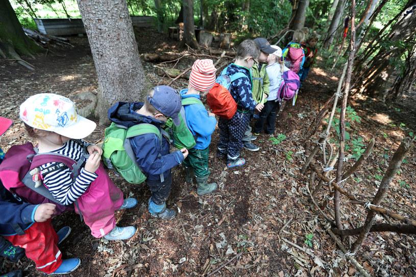 Leśne przedszkola: Tu dzieci 80 proc. czasu spędzają na świeżym powietrzu 