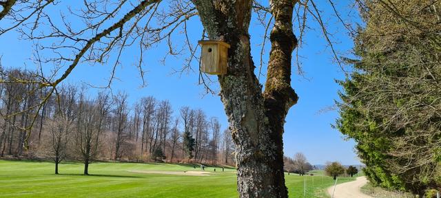 Der Golfclub Reutlingen-Sonnenbühl auf dem Weg zur Klimaneutralität 