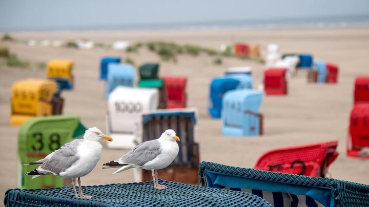 Urlaub an Nord- und Ostsee in Corona-Zeiten: Worauf sich Gäste einstellen müssen