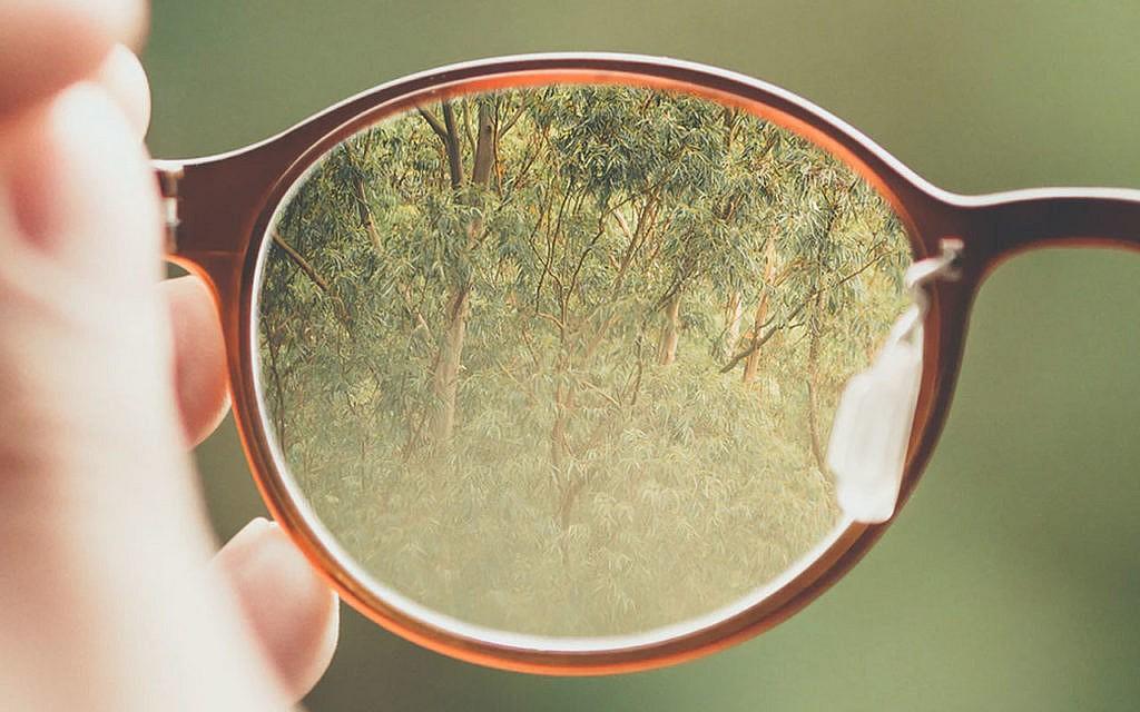 Nachhaltige Brillen: Fünf Brillen-Labels mit Stil und Durchblick