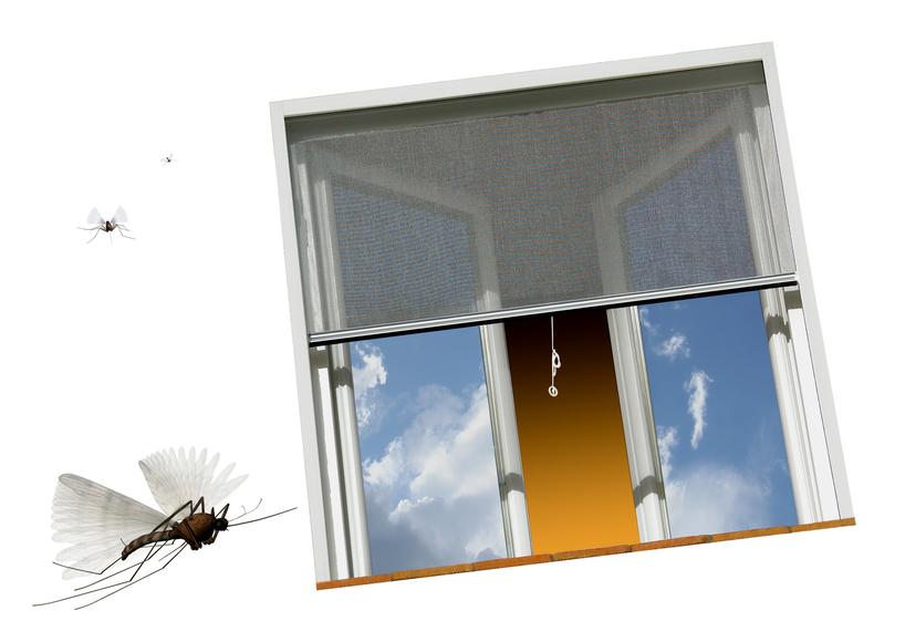 External blinds and mosquito nets - what to choose?- House and Real Estate Service