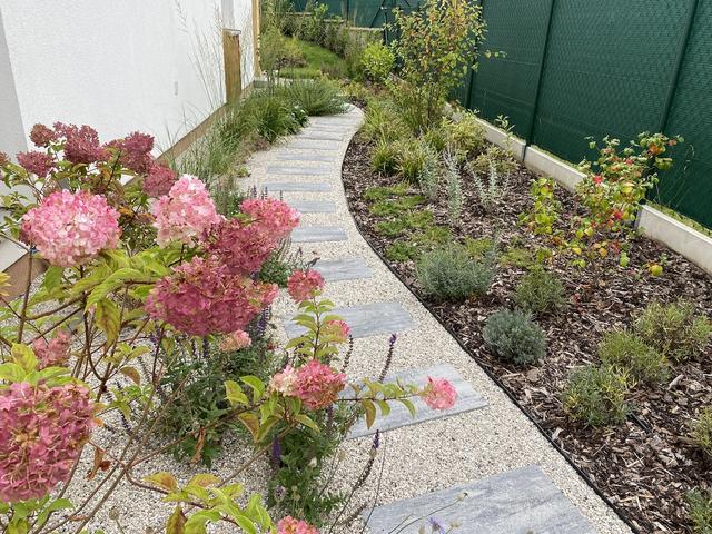 Garden masters: A weedy lawn at a terraced house turned into a cultivated space with flowers