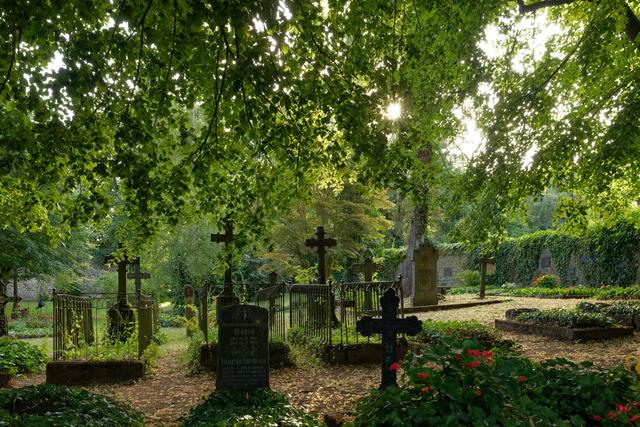Neřešme pohřby, ale hřbitovy. Návrat k jejich spiritualitě může pomoci přírodě i nám