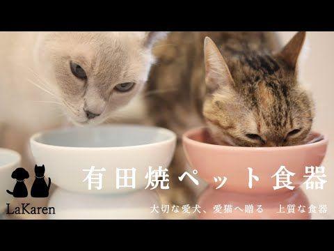 大切な愛犬と愛猫に『有田焼ペット食器』200年老舗窯元と元看護師が共創〜かわいくてまあるい形の新バージョン【まどか】誕生。あなたの大切な「しっぽの家族」に 