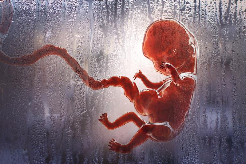 Potratem končí pětina těhotenství. Příčinou může být infekce i genetika