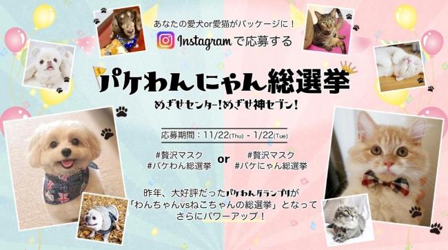  Your dog or cat is in the package of an adult luxury mask!  "Pakewan Nyan General Election" Aim Center! Aim God Seven!Corporate Release | Nikkan Kogyo Shimbun Electronic Edition