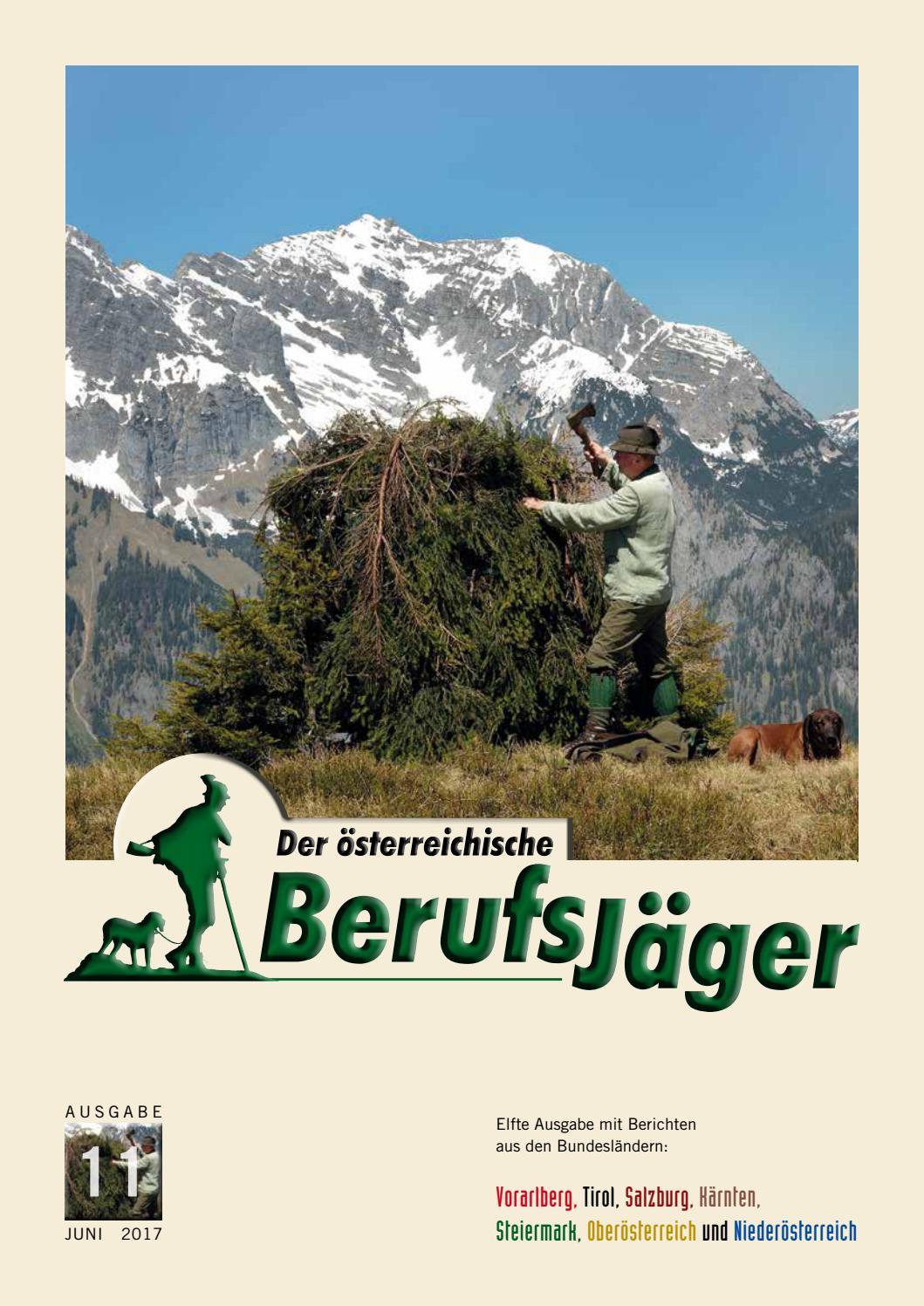dbn - in der Ausgabe Steiermark, Titelseite