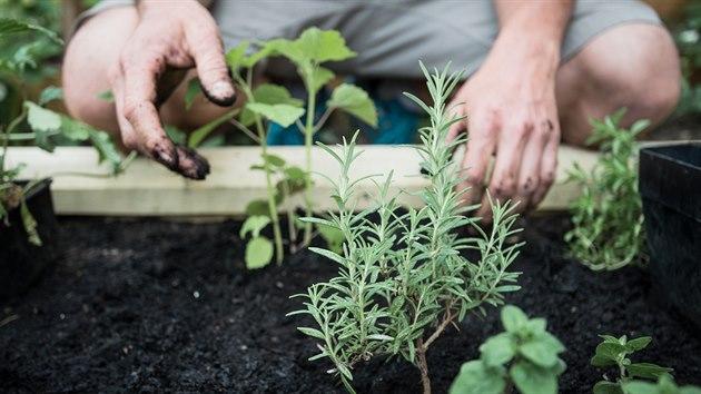  10 tips on how to establish a community garden in the city.  What to follow when choosing a place and why invite neighbors?