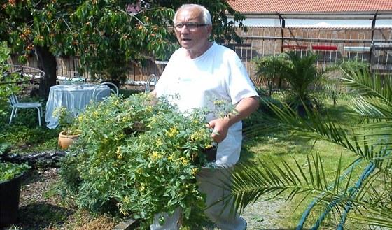  He grows vegetables in self-watering boxes.  The harvest is unbelievable