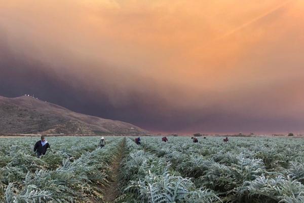 How WA farmworkers push for climate justice amid heat and wildfire 