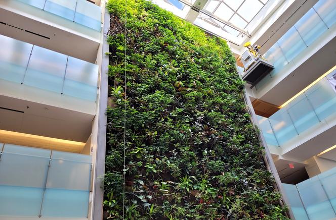 BEYOND LOCAL: Green buildings can boost well-being, healing and health